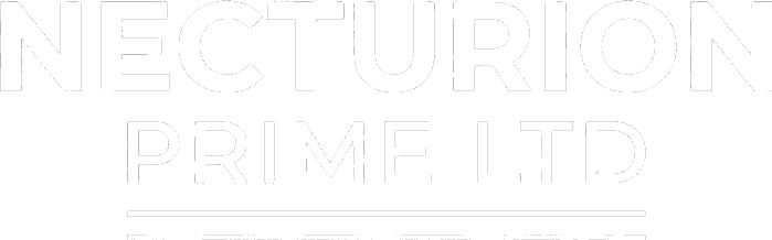 Necturion Prime Ltd